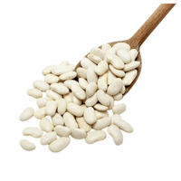 Haricot Beans