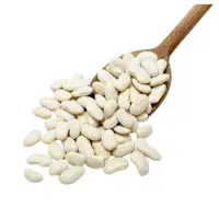 Haricot Beans