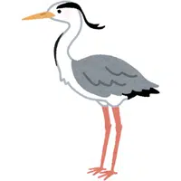 Heron