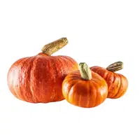 Hokkaido Pumpkin