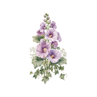 Hollyhock