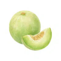 Honeydew