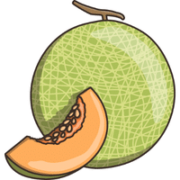 Honeydew