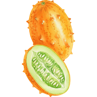 Horned Melon