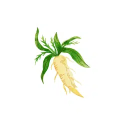 Horseradish