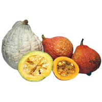 Hubbard Squash