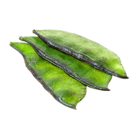 Hyacinth Beans