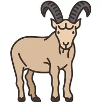 Ibex