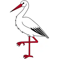 Ibis