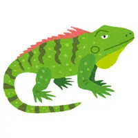 Iguana