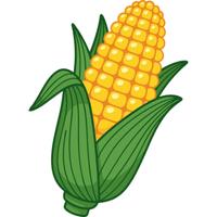 Inca Corn