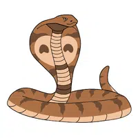 Indian Cobra