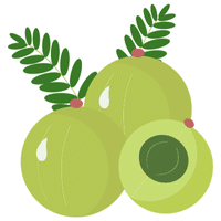 Indian Gooseberry