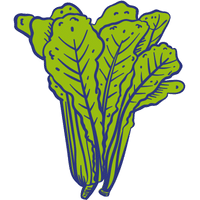 Indian Mustard Greens