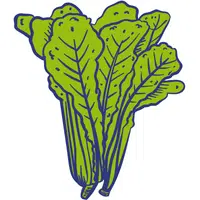 Indian Mustard Greens