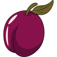 Indian Plum