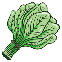 Indian Spinach