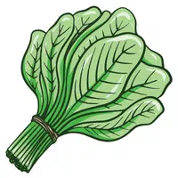 Indian Spinach