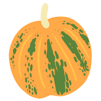 Italian Squash