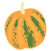 Italian Squash