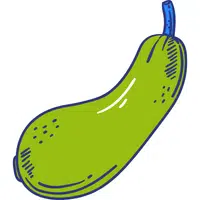 Ivy Gourd