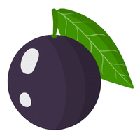 Jabuticaba