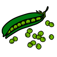 Jack Bean