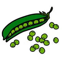 Jack Bean