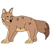 Jackal