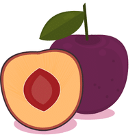 Japanese Plum