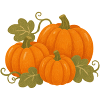 Japanese Pumpkin | A to Z Vegetables Names