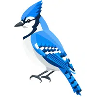 Jay