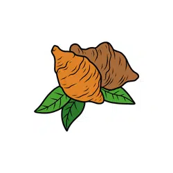 Jerusalem Artichoke