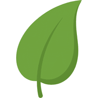Jute Leaves | A to Z Vegetables Names