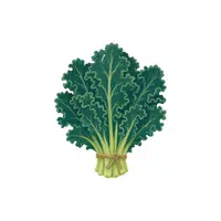 Kale