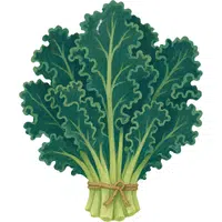 Kale | A to Z Vegetables Names