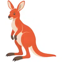 Kangaroo