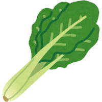 Kelp | A to Z Vegetables Names