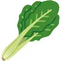 Kelp | A to Z Vegetables Names