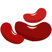 Kidney Beans | A to Z Vegetables Names