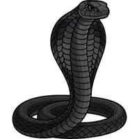 King Cobra