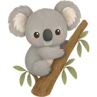 Koala | A to Z Animals Name