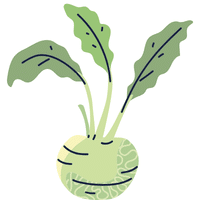Kohlrabi | A to Z Vegetables Names