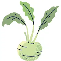 Kohlrabi | A to Z Vegetables Names