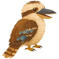 Kookaburra | A to Z Animals Name