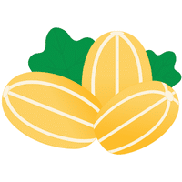 Korean Melon | A to Z Fruits Name