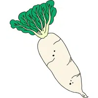 Korean Radish | A to Z Vegetables Names