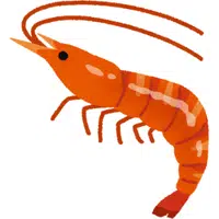 Krill | A to Z Animals Name
