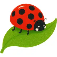 Ladybug | A to Z Animals Name