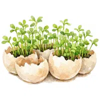 Land Cress | A to Z Vegetables Names